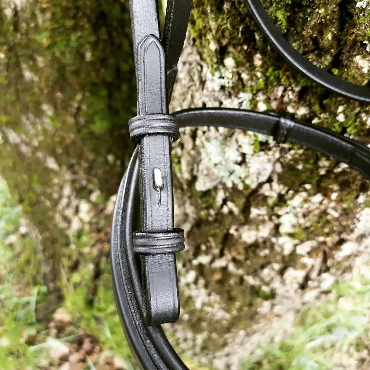 Extremely comfortable anatomical dressage bridle 2