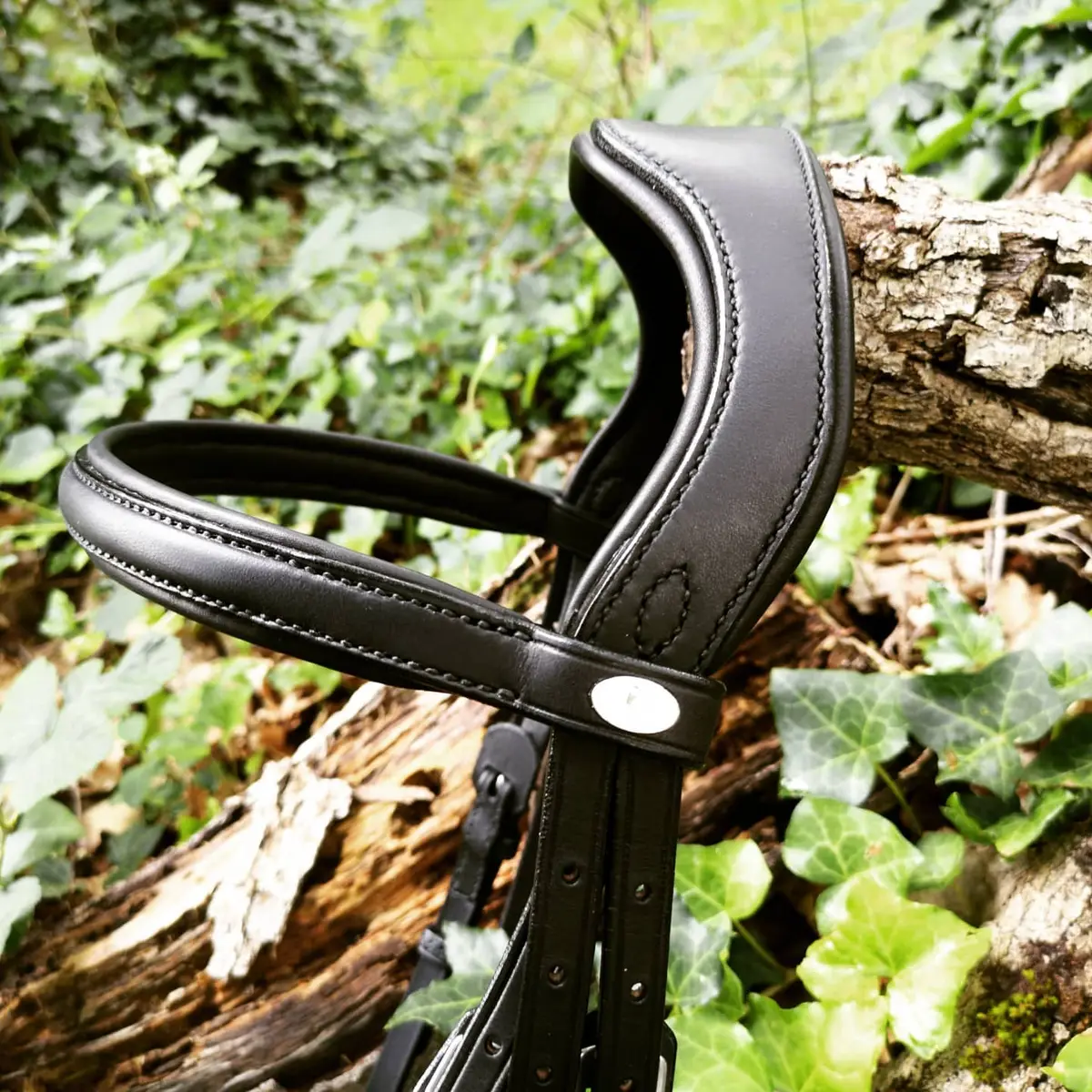 Extremely comfortable anatomical dressage bridle 3