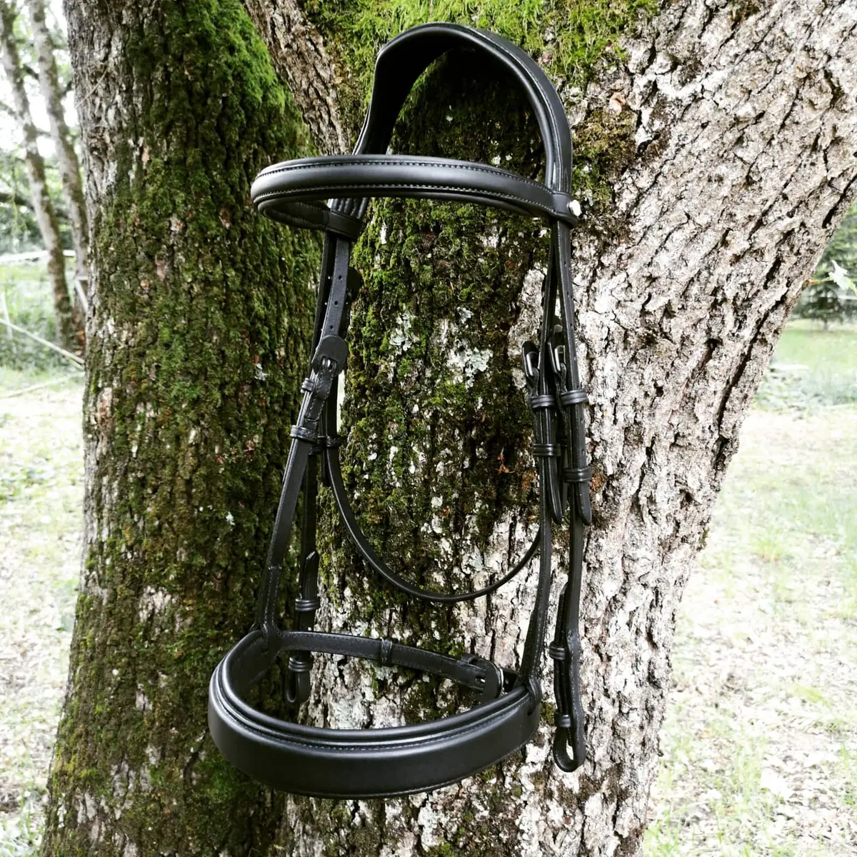 Extremely comfortable anatomical dressage bridle