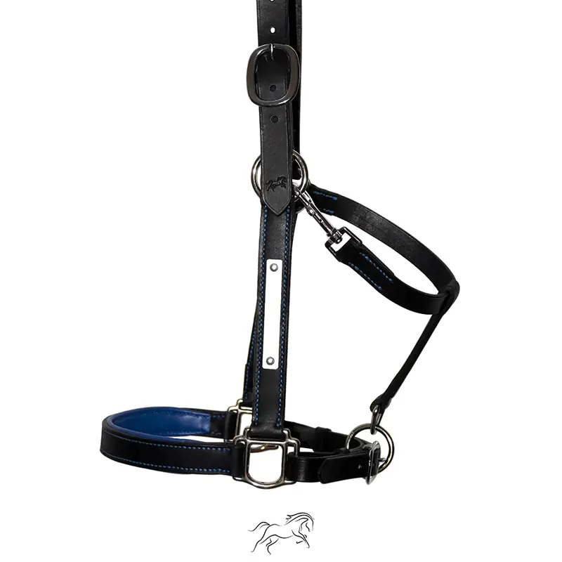 Ourasi halter 2