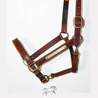 Ourasi halter 1