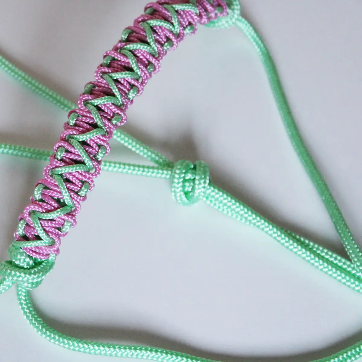 Cob size stars natural horsemanship halter