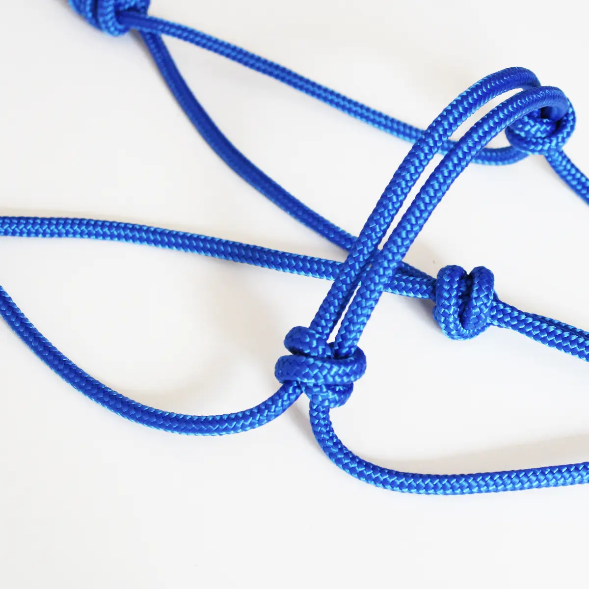 Licol éthologique simple taille cob 7