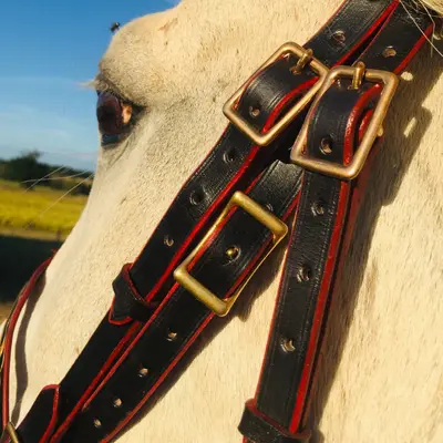 Baroque bridle Talya 4