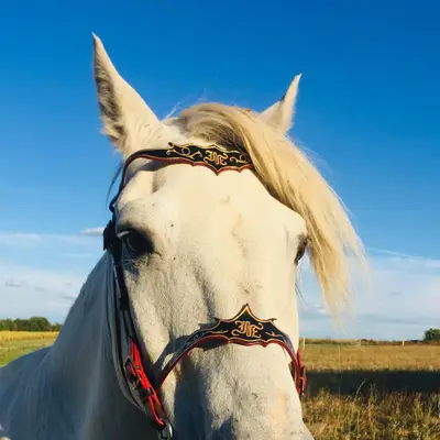 Baroque bridle Talya 2