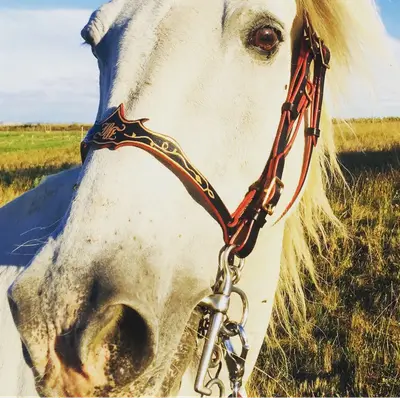 Baroque bridle Talya 6