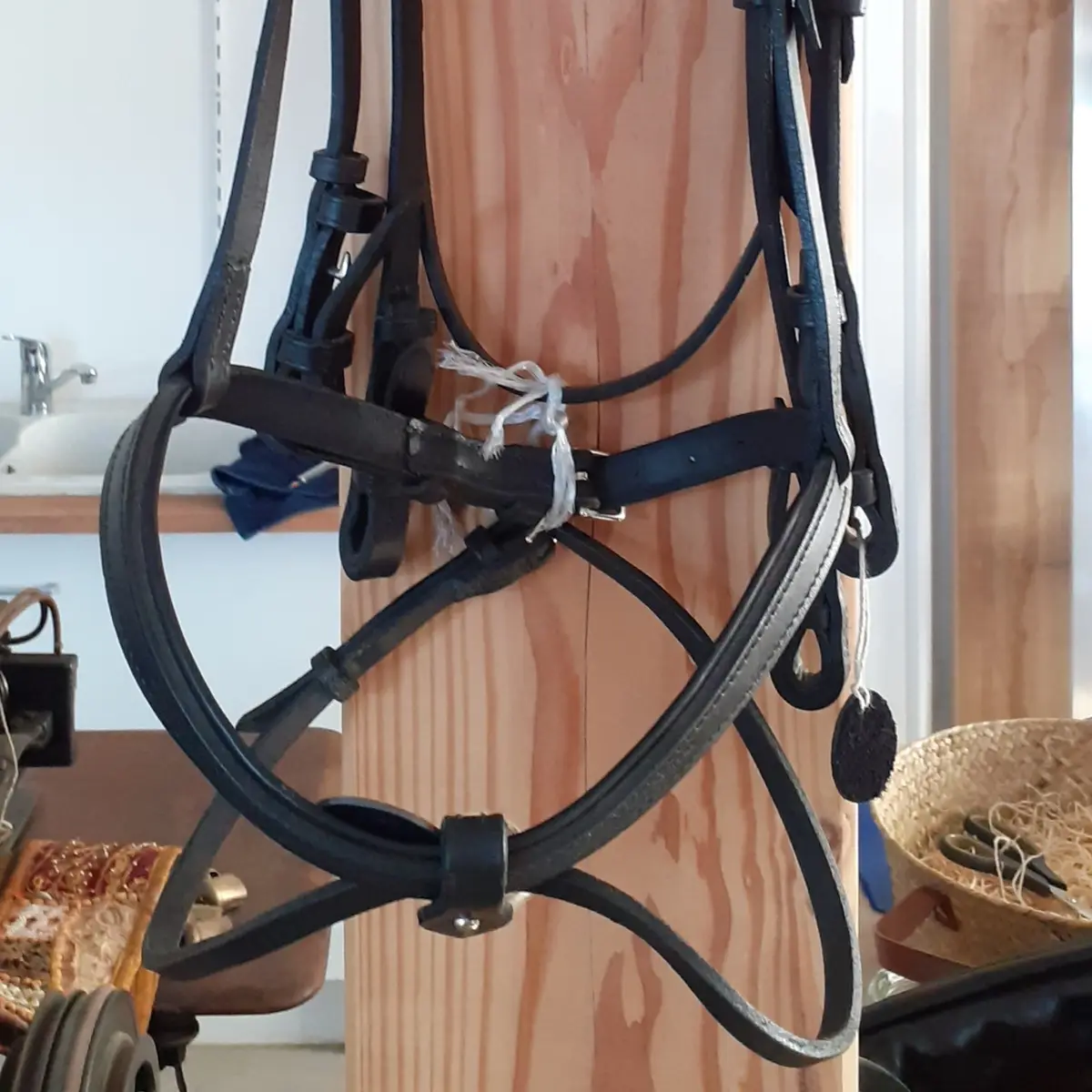 Dressage bridle
