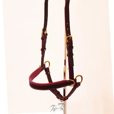 Freedom Spirit sidepull 2