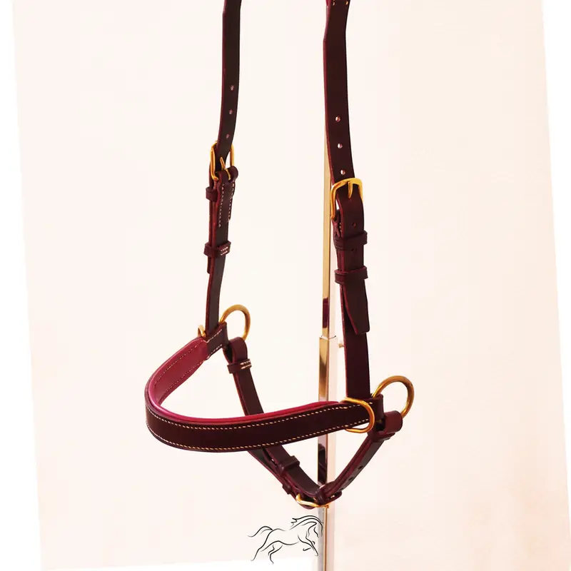 Freedom Spirit sidepull 2