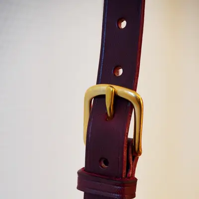 Freedom Spirit sidepull 4