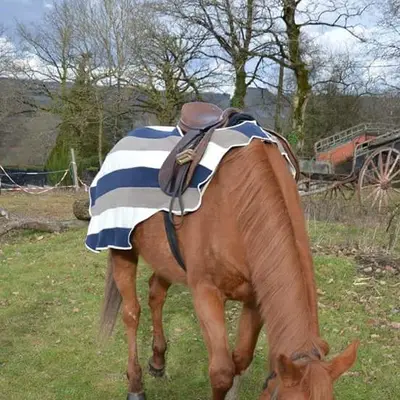 Three-tone exercise rug 2