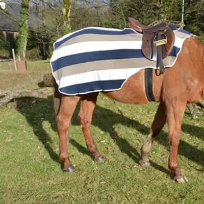 Three-tone exercise rug