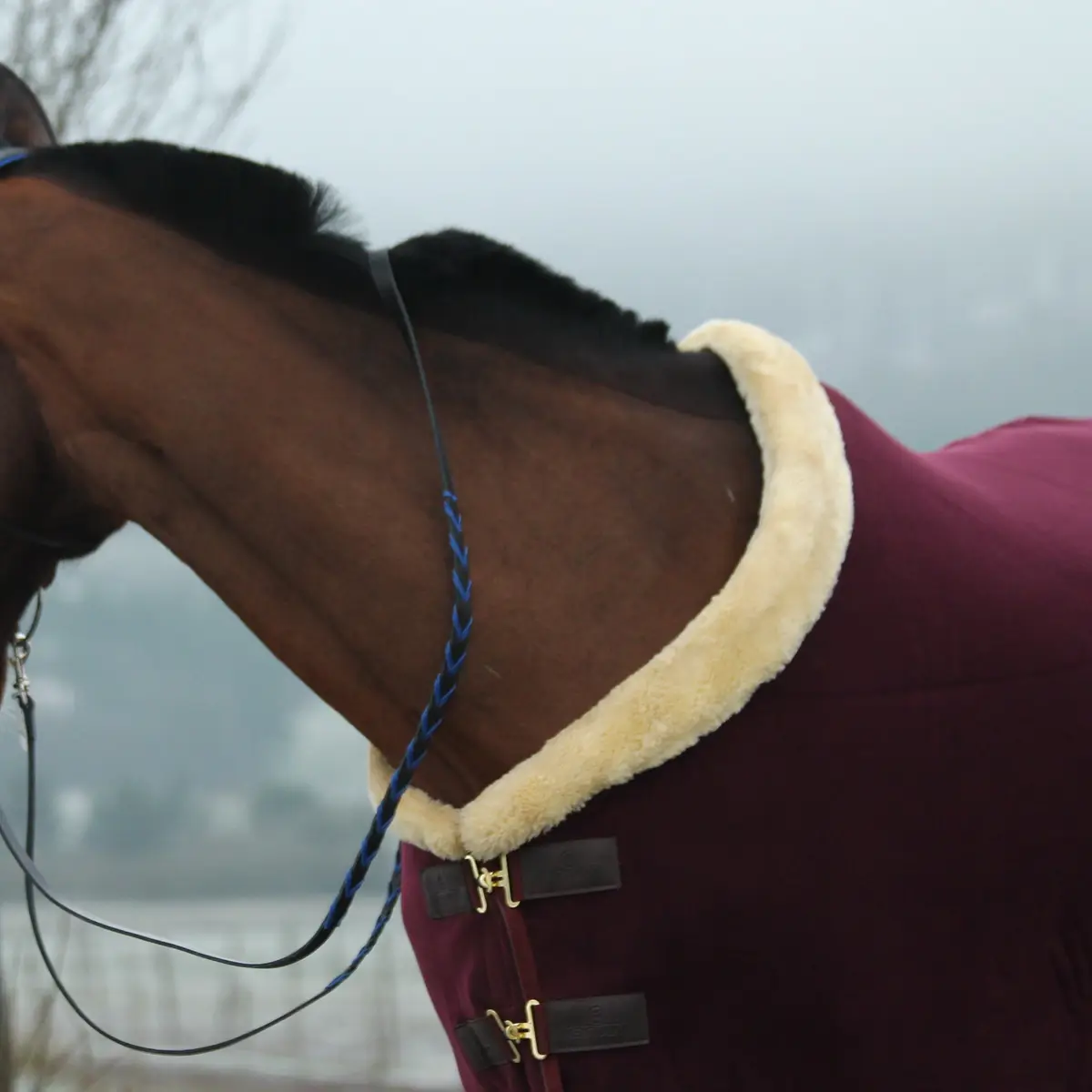 Leather reins