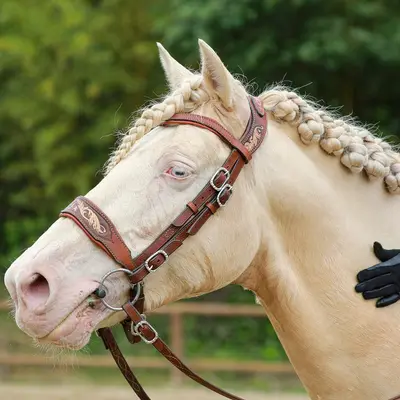 IMLADRIS exceptional dressage snaffle bridle 3