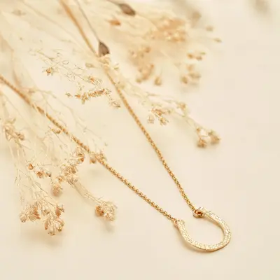 Lipizzan necklace 2