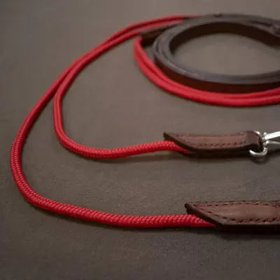 Draw reins 1