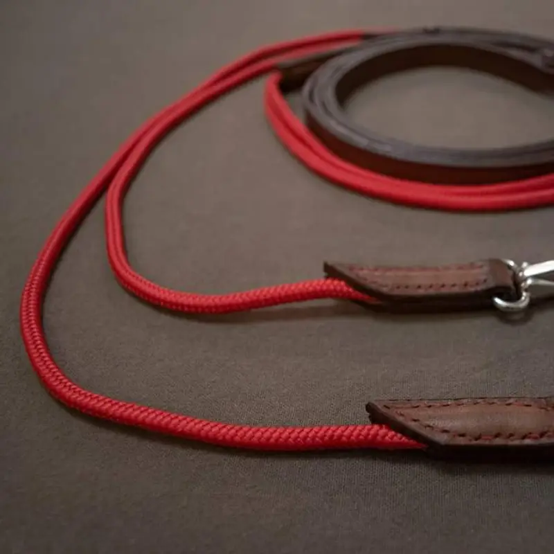 Draw reins