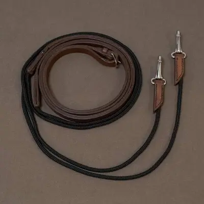Draw reins 2