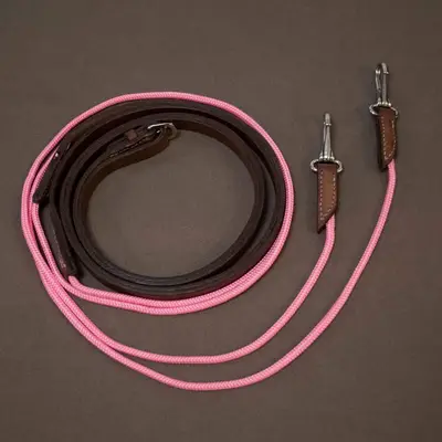 Draw reins 3
