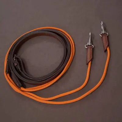 Draw reins 5