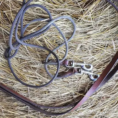 Draw reins 6
