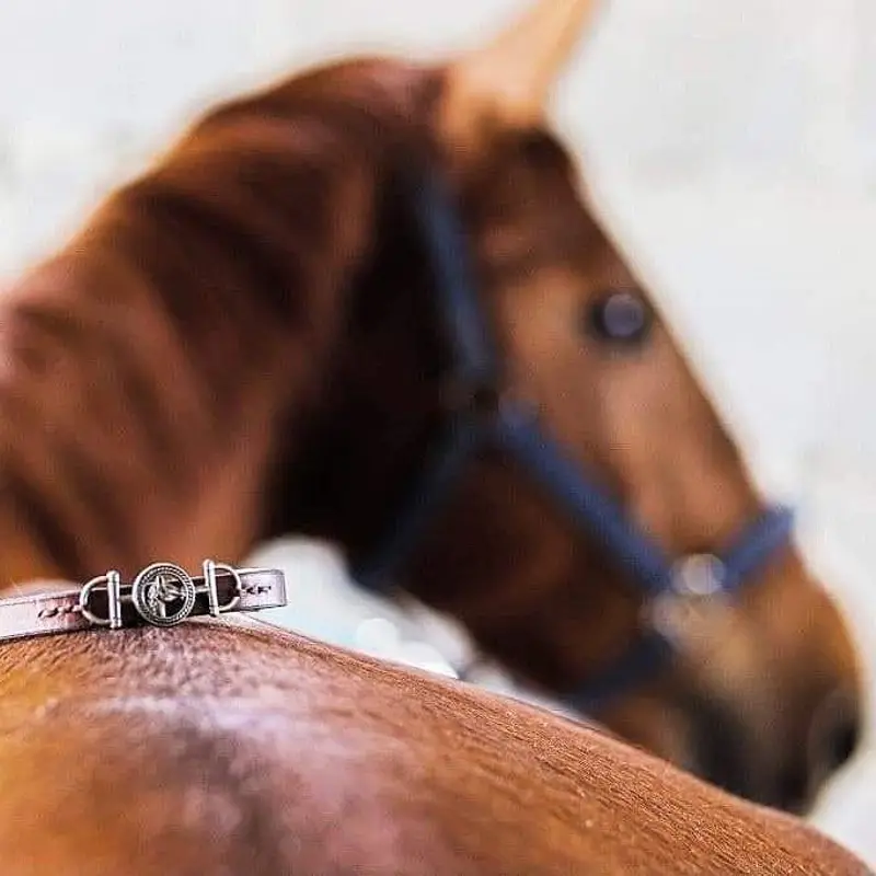 Horse's head leather bracelet 6