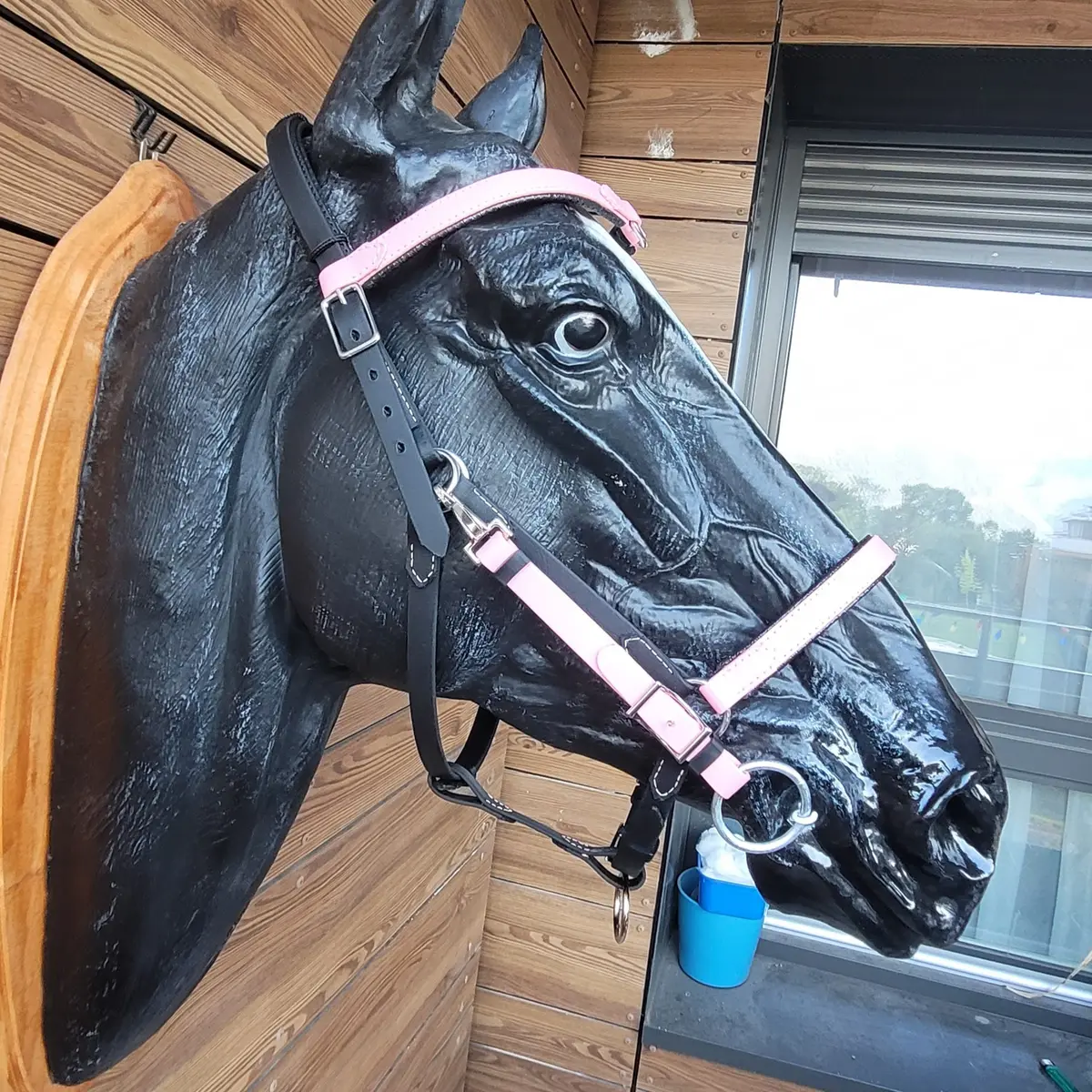 Trail or endurance bridle