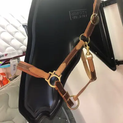 Two-tone leather halter 2