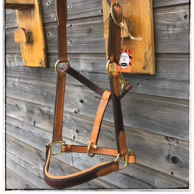 Two-tone leather halter