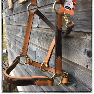 Two-tone leather halter 6