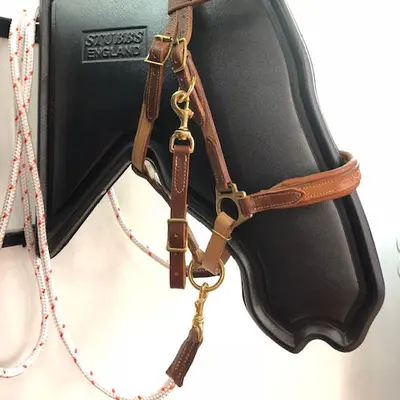 Two-tone leather trail riding snaffle bridle halter 3