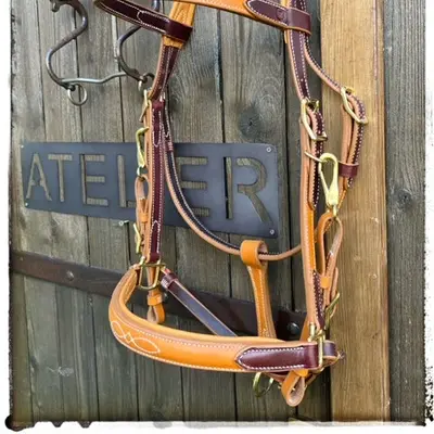 Two-tone leather trail riding snaffle bridle halter 2