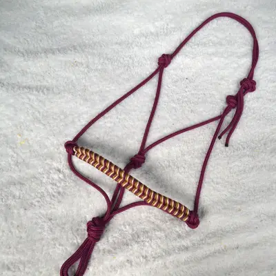 Obsidienne natural horsemanship braided halter 1
