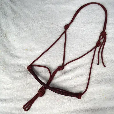 Azurite natural horsemanship braided halter 2