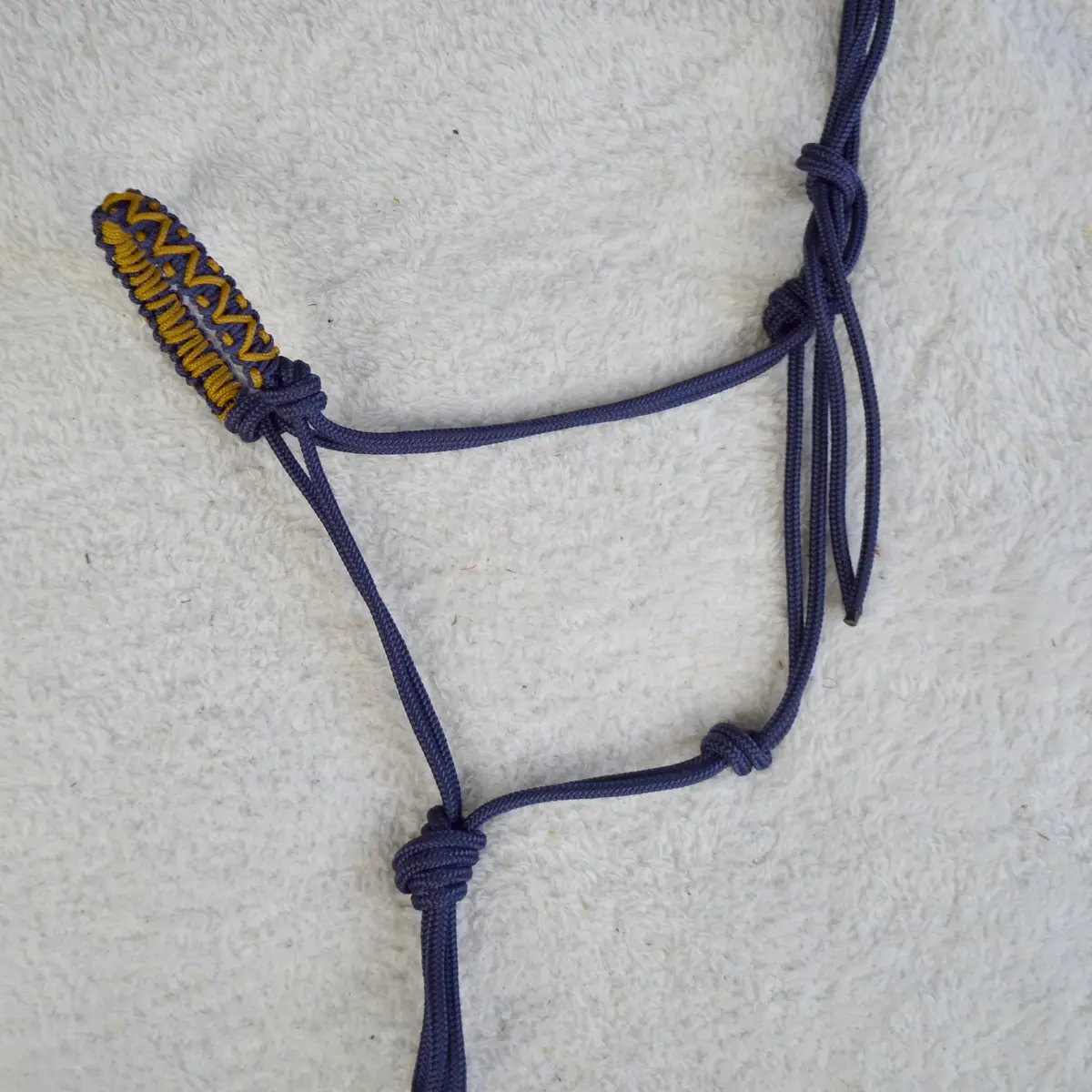 Lazuli natural horsemanship braided halter 2