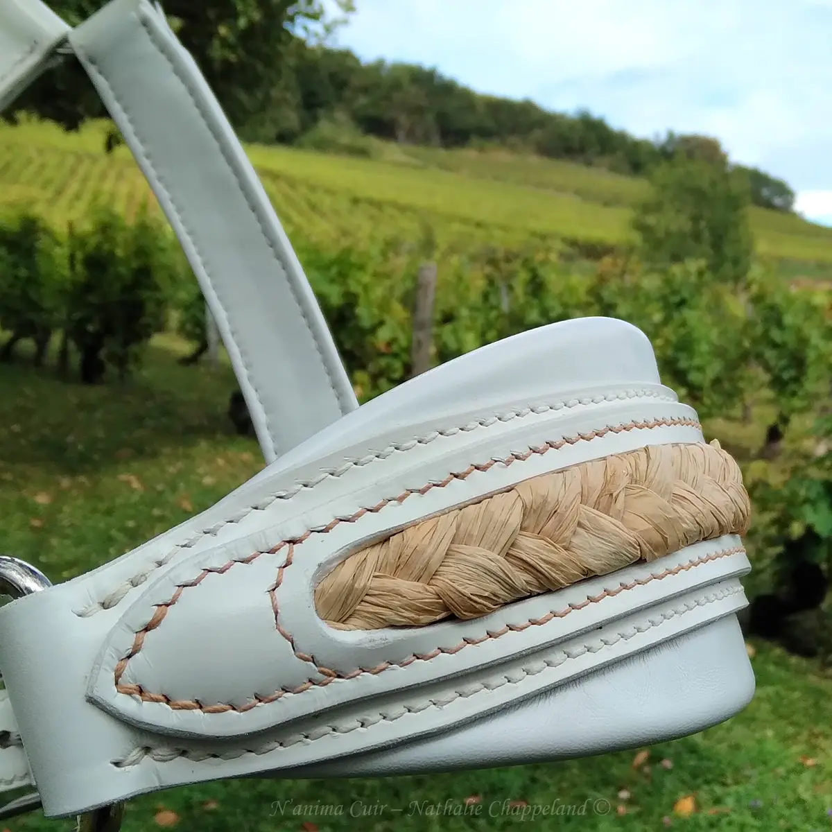 Honneur Comtois presentation halter 6