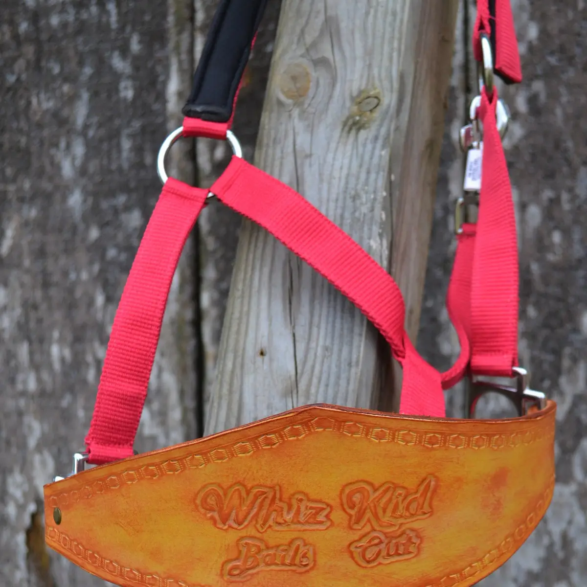 Noseband 2