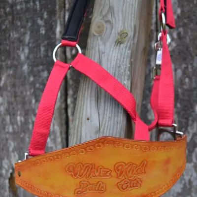 Noseband 2