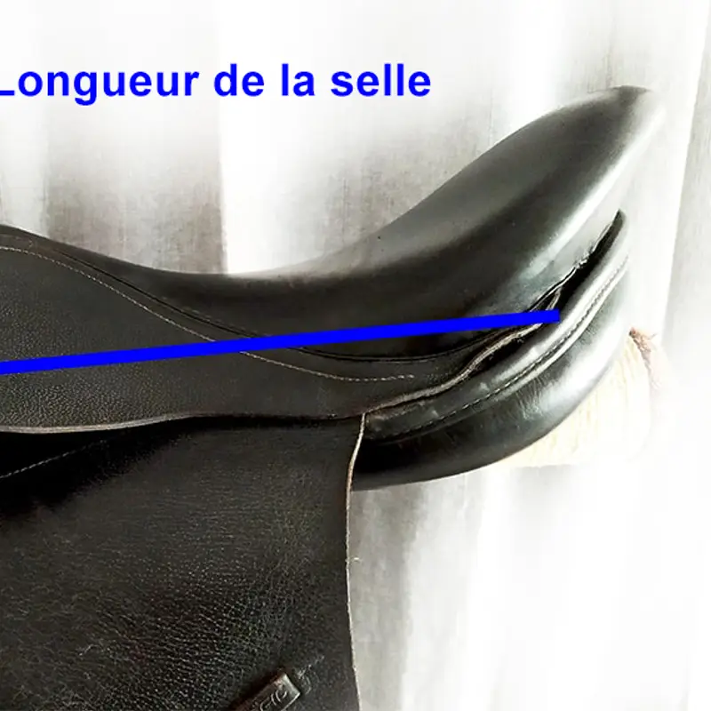 Galaxy saddle jewellery 8