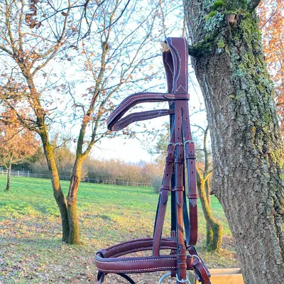 Showjumping bridle 1