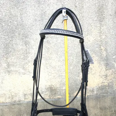 Single-piece dressage bridle 1