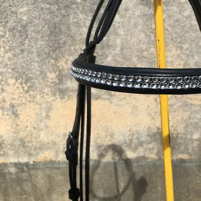 Single-piece dressage bridle 4