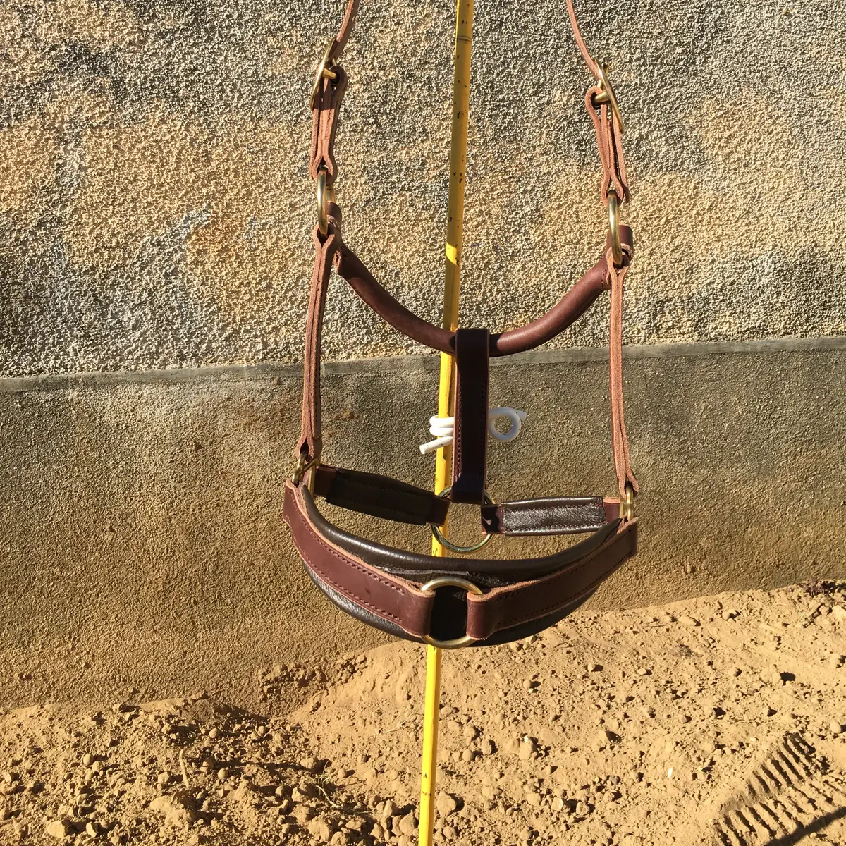 Halter for greenguard muzzle