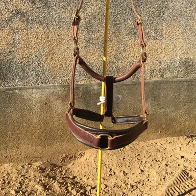 Halter for greenguard muzzle 1