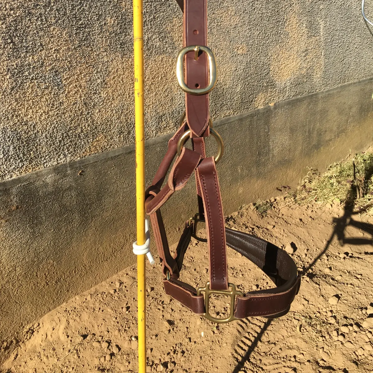 Halter for greenguard muzzle 3