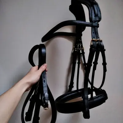 Skapa Kigna snaffle bridle 3