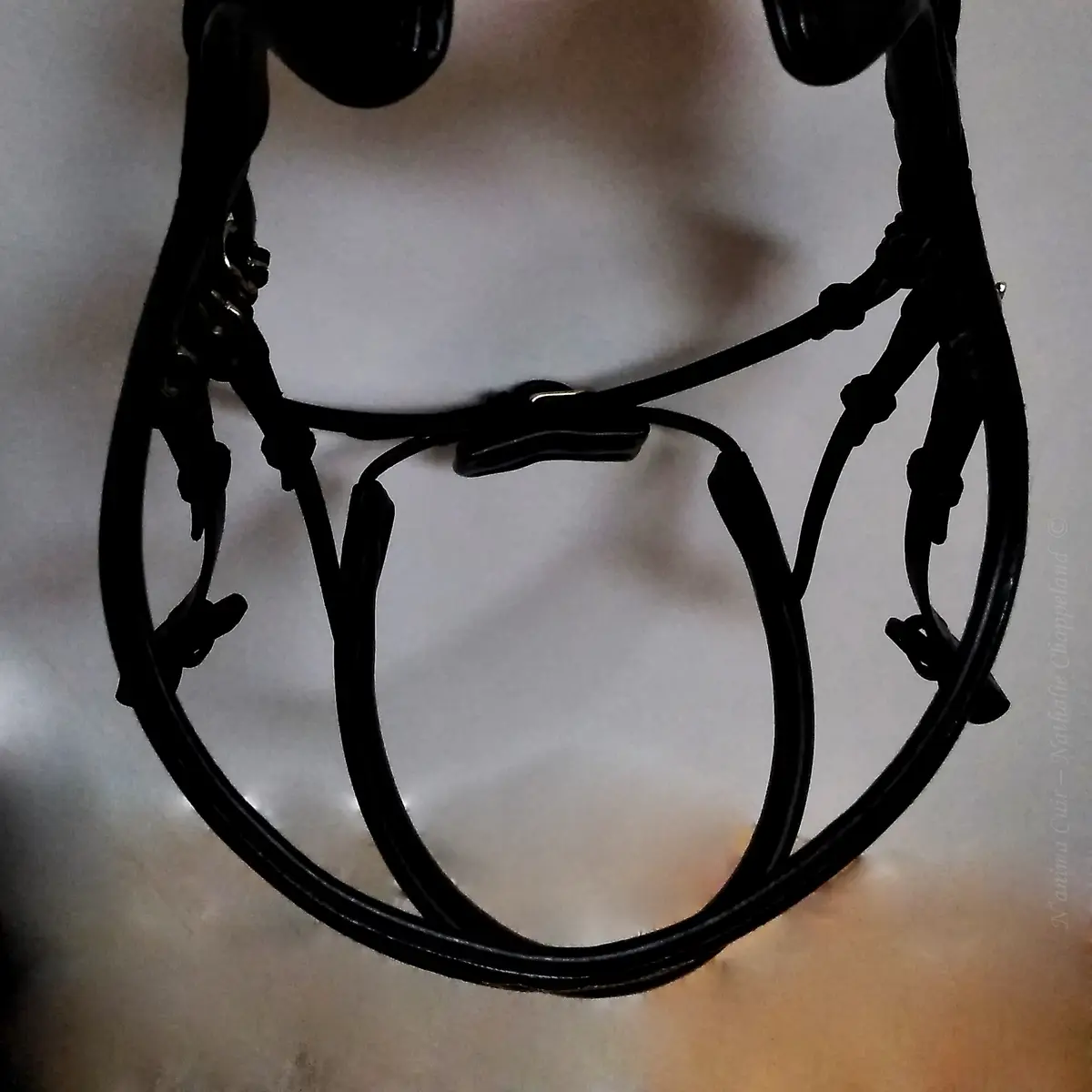 Skapa Kigna snaffle bridle