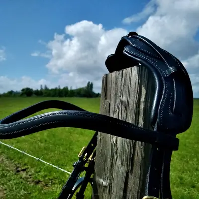 Skapa Kigna snaffle bridle 4