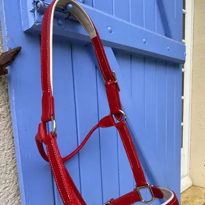 Red/ecru leather halter 3