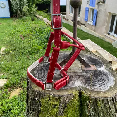Red/ecru leather halter 2